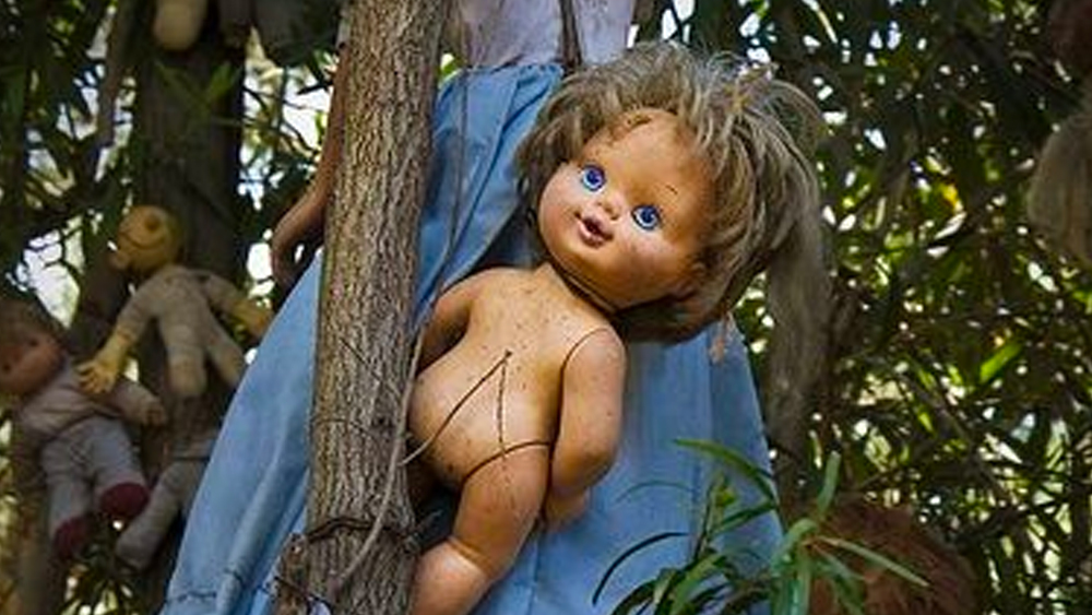 এরপর থেকেই জীবন বদলে যায় জুলিয়ানের। সারা দিনই বাচ্চা মেয়ের ফিসফিস শুনতে পেতে শুরু করেন তিনি। তার খেলার শব্দ, ছুটে বেড়ানোর শব্দও কানে আসতে শুরু করে তাঁর।