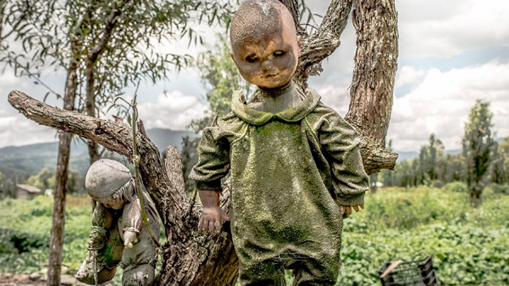 ভীত জুলিয়ান বাচ্চা মেয়েটির আত্মাকে শান্ত করার একটা উপায় বার করে নিলেন। নালা থেকে তুলে এনে পুতুলটি পাশেই একটা গাছে ঝুলিয়ে দিলেন আর নিজেকে ওই দ্বীপের রক্ষাকর্তা ভেবে বসলেন।