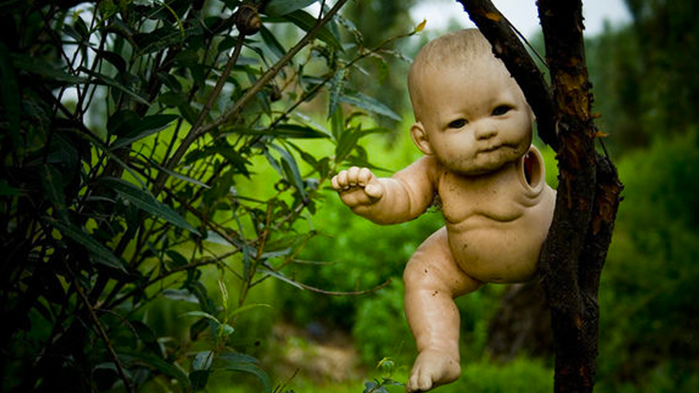 এরপর থেকে জীবনের বাকি ৫০টি বছর ওই দ্বীপেই কাটান তিনি। বিভিন্ন জায়গা থেকে এমন সব নানা পরিত্যক্ত পুতুল তুলে এনে দ্বীপের গাছগুলিতে ঝোলাতে শুরু করেন। একটি একটি করে দ্বীপের প্রায় সব গাছই ভরে যায় পরিত্যক্ত পুতুলে।