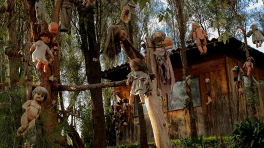 জুলিয়ানের পরিবার অবশ্য পরবর্তীকালে এগুলো অস্বীকার করে জানায়, তিনি মানসিকভাবে সম্পূর্ণ সুস্থ ছিলেন না। সে কারণেই বাড়ি ছেড়ে চলে গিয়েছিলেন।