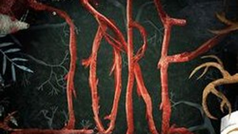 রহস্যময় এই পুতুল দ্বীপ আমেরিকান টেলিভিশন ট্রাভেল চ্যানেলে ‘ঘোস্ট অ্যাডভেঞ্চার’ নামে এক তথ্যচিত্রে দেখানো হয়েছিল। অ্যামাজন প্রাইম-এর সিরিজ ‘লোর’-এও এই দ্বীপের রহস্য দেখানো হয়েছে।