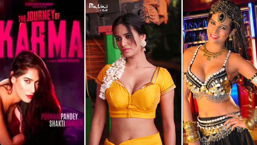 ‘লভ ইজ পয়জন’, ‘মালিনী অ্যান্ড কো’, ‘আ গ্যয়া হিরো’, ‘দ্য জার্নি অব কর্ম’-সহ বেশ কিছু ছবি পুনমের কেরিয়ারে উল্লেখযোগ্য।