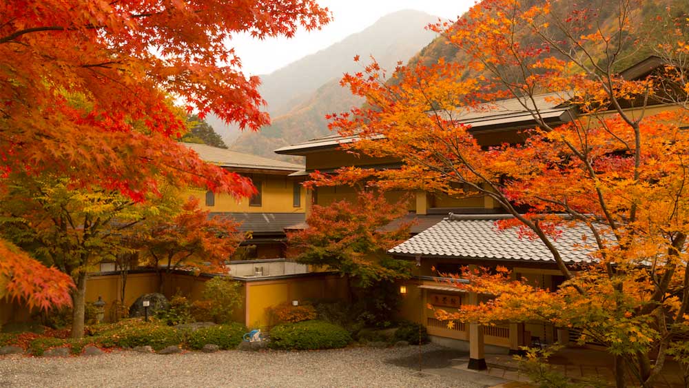 একই পরিবারের ৫২টি প্রজন্ম পর্যায়ক্রমে হোটেলের দায়িত্বভার সামলেছে। প্রাচীনতম অথচ এখনও চালু রয়েছে এই পরিচয়ে হোটেলটি ২০১১ সালে স্বীকৃতি পেয়েছে গিনেস বুক অব ওয়ার্ল্ড রেকর্ডে।