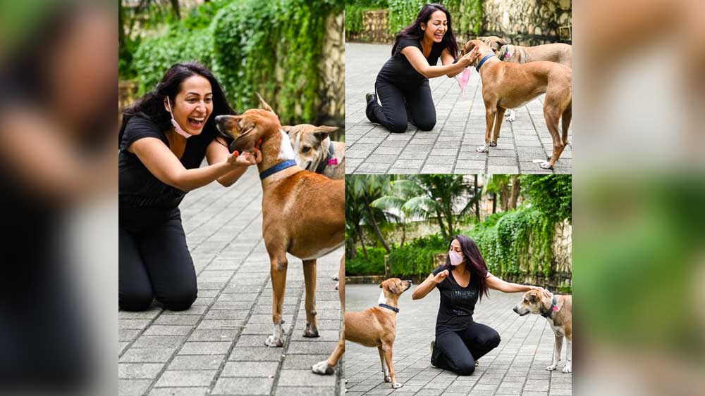 কাজের বাইরে অবসরে কাশ্মীরা তাঁর পোষ্যদের সঙ্গে সময় কাটাতে পছ্ন্দ করেন। একাধিক বিড়াল এবং কুকুর তাঁর পরিবারের সদস্য।