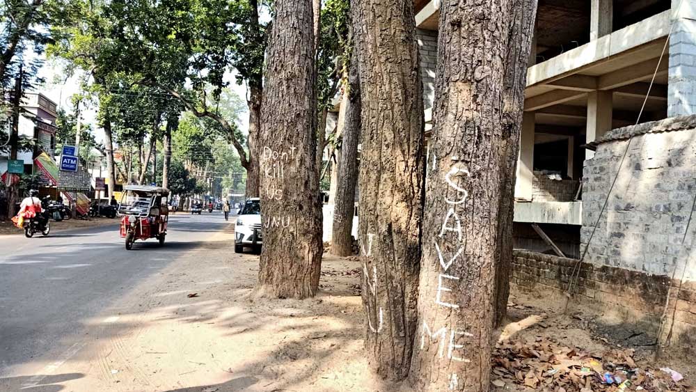 Forest area decreasing in Arabari Range Forest