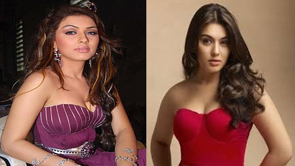 পরে একটি অশ্লীল ভিডিয়োতেও তাঁকে দেখা গিয়েছে বলে অভিযোগ। হংসিকার অভিযোগ ছিল, তাঁর ছবি বিকৃত করে ভিডিয়োতে ব্যবহার করা হয়েছে।