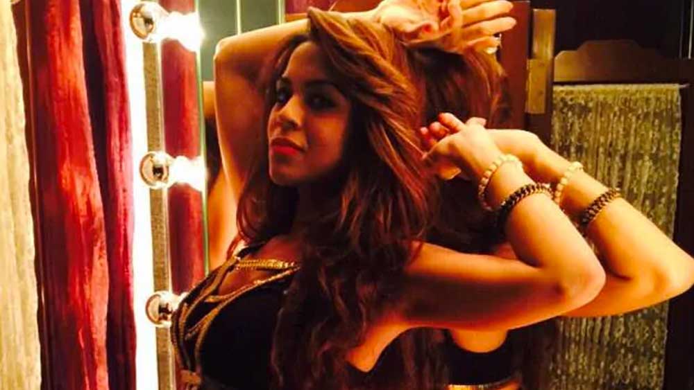 ‘বিগ বস’, ‘ঝলক দিখলা যা’, ‘ফিয়ার ফ্যাক্টর’, ‘নাচ বালিয়ে’, ‘কমেডি সার্কাস’-এর মতো শো-এ তিনি প্রতিযোগী হিসেবে অংশ নিয়েছেন।