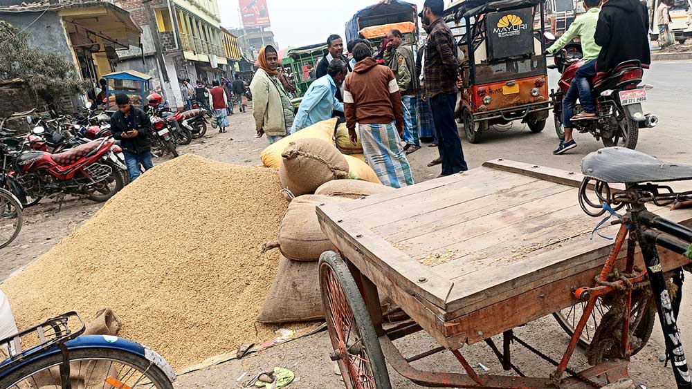 প্রকাশ্যে: বাজারে ধান কিনছে ফড়েরা। গোয়ালপোখরে। নিজস্ব চিত্র।