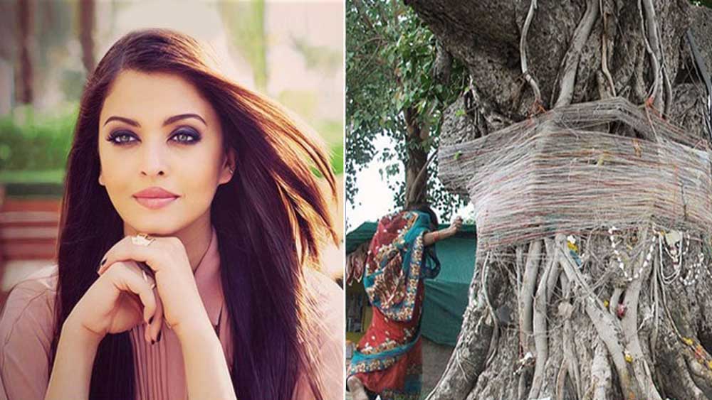 আমাদের দেশে গাছের সঙ্গে মেয়েদের বিয়ে দেওয়ার প্রথা আছে প্রাচীন কাল থেকেই। শোনা যায়, মাঙ্গলিক দোষ কাটাতে অভিষেক বচ্চনকে বিয়ে করার আগে ঐশ্বর্যার বিয়ে দেওয়া হয়েছিল গাছের সঙ্গে। যদিও বচ্চন পরিবার এই দাবি অস্বীকার করে।