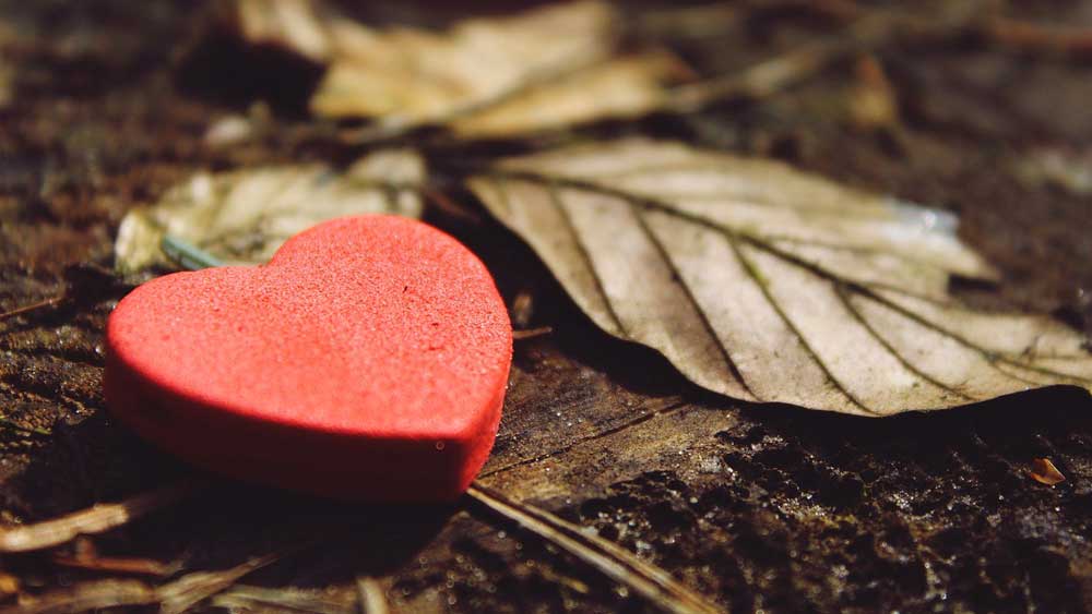 কিন্তু প্রথার বাইরে যখন স্বেচ্ছায় মানুষ এই সিদ্ধান্ত নেয়, তখন তার পিছনে জটিল মনস্তাত্বিক কারণ থাকে। মনোবিজ্ঞানীদের কথায়, অনেক মানুষই একতরফা সম্পর্কে বিশ্বাস করেন। কারণ তাঁরা সঙ্গী বা সঙ্গিনীর কাছ থেকে আঘাত পেতে চান না। জড় পদার্থ হলে মানসিক বা শারীরিক আঘাত পাওয়ার সম্ভাবনা থাকে না। তা ছাড়া তীব্র অধিকারবোধ থেকেও অনেক সময় এই সিদ্ধান্ত নেয় মানুষ। ব্যাখ্যা মনোবিদদের।