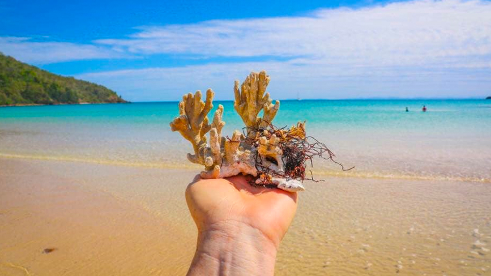 ছ’বছর ধরে ওই দ্বীপে বাড়ি ভাড়া নিয়ে ছিলেন এক দম্পতি। তাঁদের অভিযোগ, ফেব্রুয়ারি মাসে আচমকাই তাঁদের বাড়ি খালি করে দিতে বলা হয়। তার জন্য সময় দেওয়া হয় মাত্র তিন দিন। বাড়ি ছেড়ে দেওয়ার পর আবার তাঁদের কাছ থেকে প্রায় ৫০ লক্ষ টাকা ক্ষতিপূরণ দাবি করা হয়। বলা হয়, তাঁদের হাতে বাড়িটির ক্ষতি হয়েছে। তা মেরামত করতে হবে।