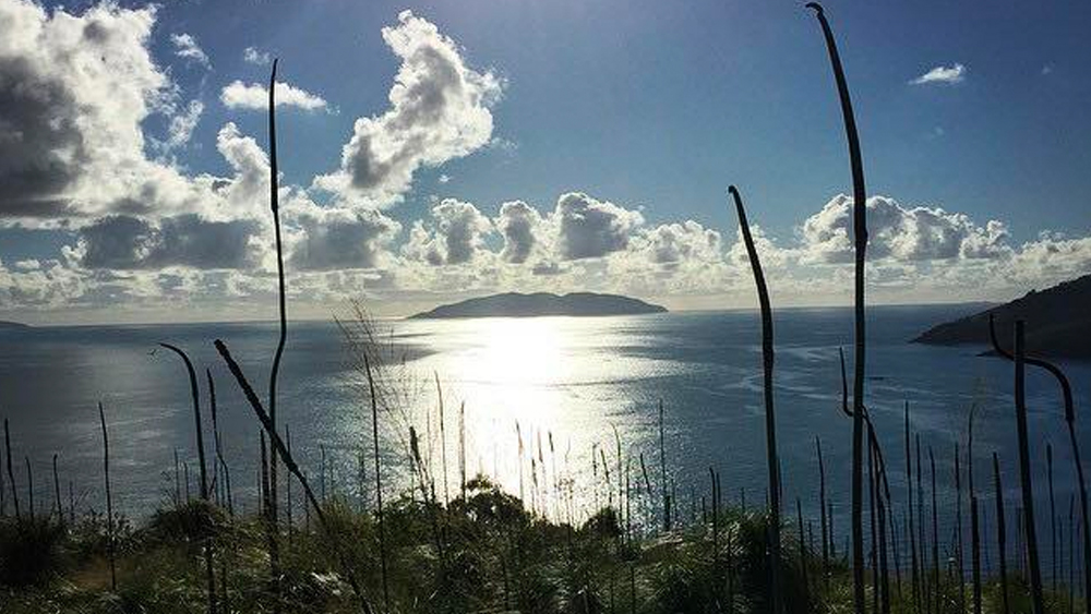 অস্ট্রেলিয়ায় ‘চায়না ব্লুম’-এর এজেন্ট হিসেবে কাজ করছে ‘গ্রেটন হোল্ডিংস’ নামের একটি সংস্থা। সিডনির ডার্লিং হারবারের মতো একাধিক নির্মাণকাজে যুক্ত ছিল তারা। বিষয়টি নিয়ে ওই সংস্থার সঙ্গে যোগাযোগ করে সে দেশের একটি সংবাদমাধ্যম। স্থানীয় বাসিন্দা ও ‘চায়না ব্লুম’-এর মধ্যে একান্তে বিষয়টির মীমাংসা হওয়া প্রয়োজন বলে জানায় তারা।