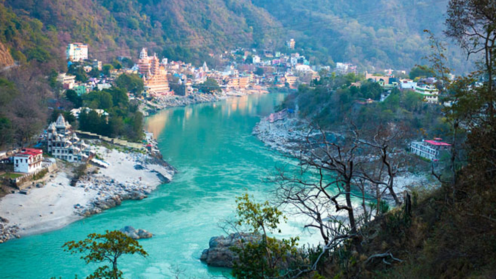 ফলে ঋষিকেশে একটি নতুন গ্লাসব্রিজ নির্মাণের পরিকল্পনা করা হয়েছে। তবে সেটি সম্পূর্ণ কাচের হবে না। দু’দিকে কাচের অংশের মধ্যে মাঝখানে থাকবে অ্যাসফল্টের পথও।