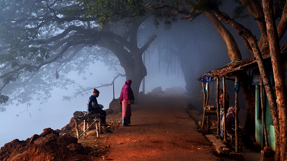 শীতের কলকাতা। ছবি শাটার স্টক।