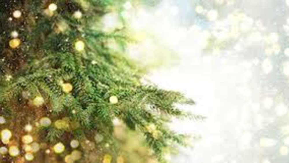 Christmas celebration during pandemic