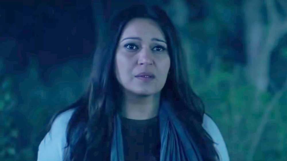 এর পর দীর্ঘ দিন কোনও ছবিতে দেখা যায়নি তাঁকে। নিকি ফের ছবিতে অভিনয় করেন ২১ বছর পরে। ২০১৫ সালে তাঁকে দেখা যায় ‘শানদার’ এবং ‘চকোলেট’ ছবিতে। এর পর ‘লুপ্ত’ এবং ‘গিল্টি’ ছবিতেও অভিনয় করেন তিনি।