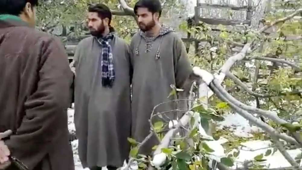 নাম প্রকাশে অনিচ্ছুক এক আপেলচাষি সংবাদ মাধ্যমে বলেন, ‘‘এতদিন আপেল বাগানেই সারাদিন কেটে যেত। কিন্তু ২০ দিন হয়ে গেল, আপেল বাগানে পা রাখিনি। গাছ কেটে ফেলার পর খাঁ খাঁ করছে বাগান। ওখানে যাওয়ার মতো মনের জোর আর নেই আমার।’’