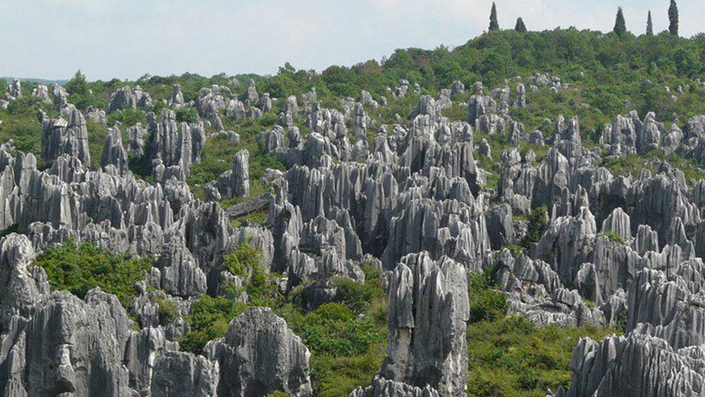 চিনের ইউনান প্রদেশের পাঁচশো বর্গ কিলোমিটার এলাকা জুড়ে বিস্তৃত এই প্রস্তর অরণ্য।
