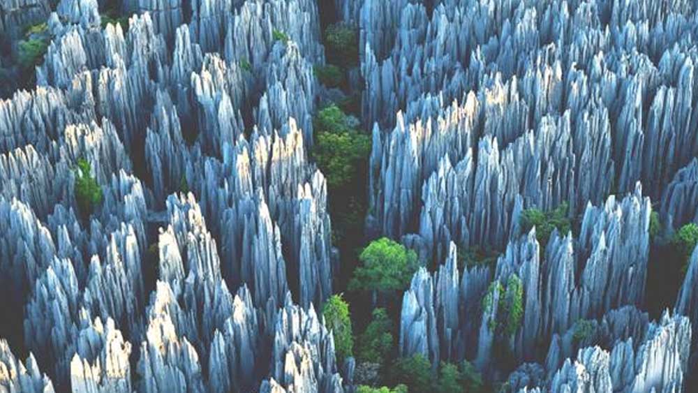 চিনের কুনমিং থেকে ৯০ কিলোমিটার দূরে রয়েছে শাইলিন।