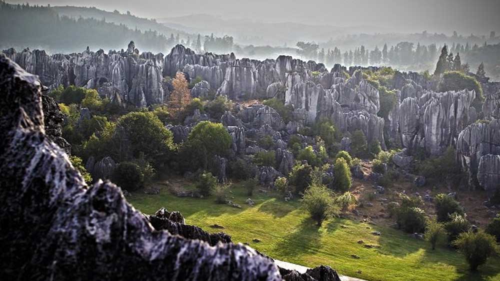 গুহার মধ্যে যেমন স্ট্যালাগমাইট গড়ে ওঠে, এই প্রস্তর অরণ্য অনেকটা তেমনই দেখতে। গাছের মতোই মাটি ভেদ করে মাথা উঁচু করে দাঁড়িয়ে রয়েছে সারি সারি পাথর।