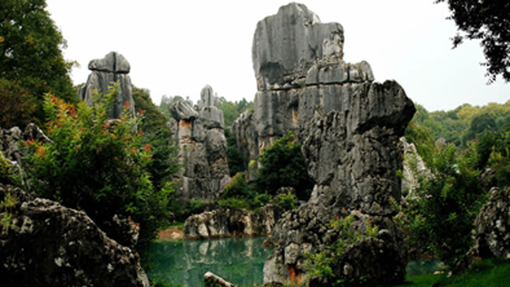 পুরো অরণ্যটাই চুনাপাথরের। তাই এই জঙ্গলে প্রবেশ করলে তাজা অক্সিজেনের পরিবর্তে চুনাপাথরের গন্ধ নাকে আসবে।