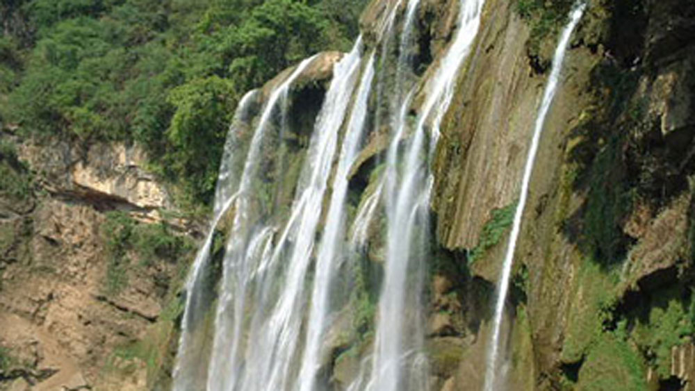 এই অরণ্য ৭টি অঞ্চলে বিভক্ত। জলপ্রপাত, দুটো বিশাল হ্রদ, প্রাকৃতিক গুহা এবং এই পাথরের জঙ্গল সব মিলিয়ে পর্যটকদের কাছে খুবই জনপ্রিয়।