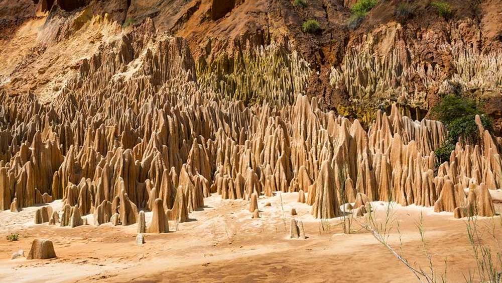 কী ভাবে তৈরি হল এই প্রস্তর অরণ্য? প্রস্তর অরণ্যের সৃষ্টি নিয়ে একাধিক মতবাদ রয়েছে।