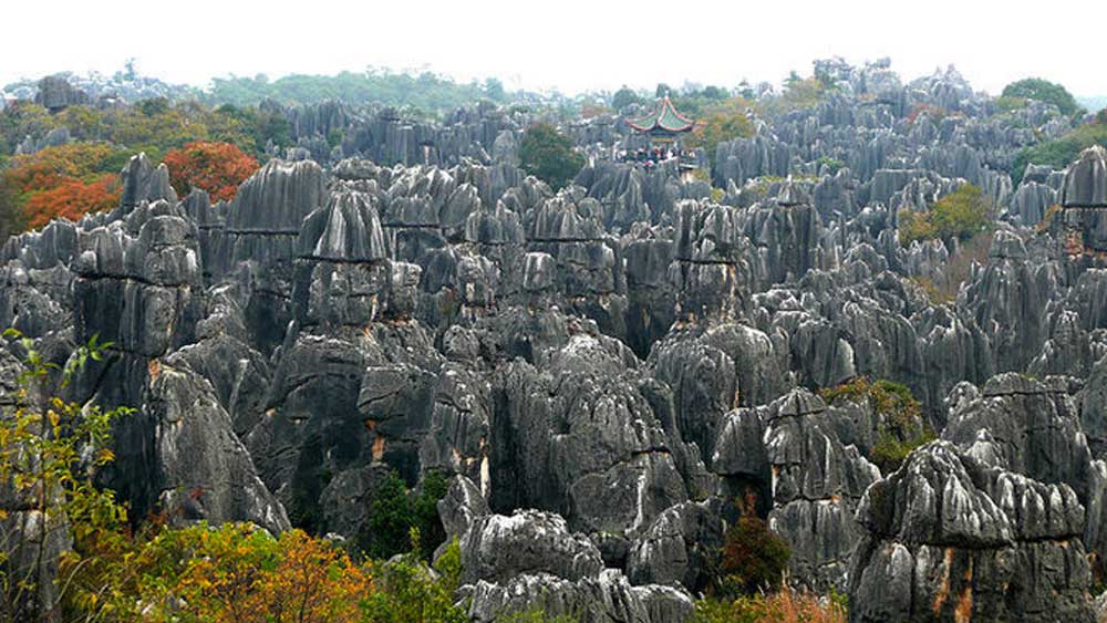 এই অঞ্চলের আদি বাসিন্দাদের কাছে এক সুন্দরীর অপূর্ণ ভালবাসার সাক্ষী এই অরণ্য।