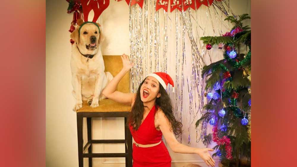 বাড়িতে দুই চার পেয়ে সন্তানকে নিয়ে বড়দিন পালন করেন অঙ্কিতা লোখন্ডে। লাল শর্ট ড্রেসে এবং মাথায় সান্তা টুপি দিয়ে ক্রিসমাস ট্রি-এর সামনে দাঁড়িয়ে হাসিমুখে পোজ দিলেন ক্যামেরার জন্য।