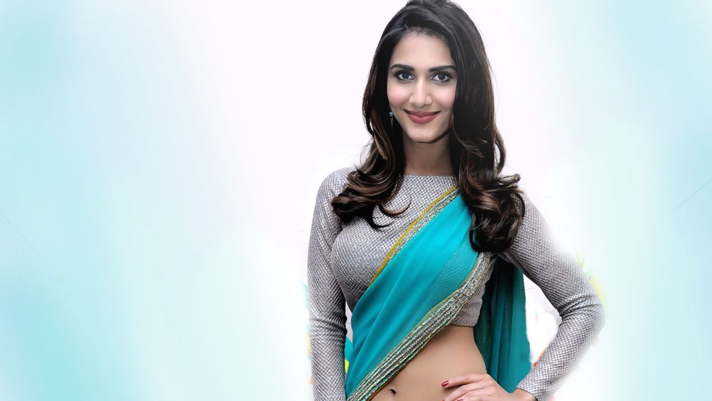 শোনা যায়, বাণী যখন প্রথম মডেলিং করতে এসেছিলেন তখন তাঁর ওজন ছিল ৭৫ কেজি। দাঁতে পরতে হত ব্রেস। সেখান থেকে নিজেকে মডেলিংয়ের জন্য তৈরি করে তোলেন তিনি। কাজের সুযোগ কম পেলেও টিনসেল টাউন থেকে সহজে হারিয়ে যেতে আসেননি বাণী।