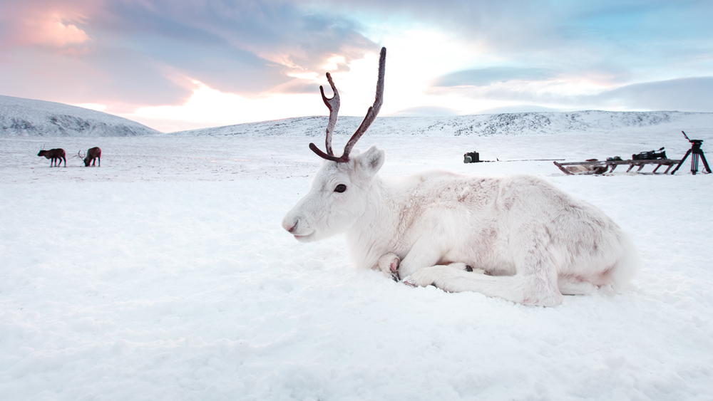 এই পারমাফ্রস্ট হল একটি বিশেষ ভূমিরূপ, যা পাওয়া যায় উত্তর ও দক্ষিণ দুই মেরু-সহ বিশ্বের চিরশীতল অংশে। যখন কোনও ভূভাগের তাপমাত্রা ন্যূনতম ২ বছর বা আরও দীর্ঘ সময় ধরে একটানা ০ ডিগ্রি সেলসিয়াসের কম থাকে, তখন এই ভূমিরূপ তৈরি হয়।