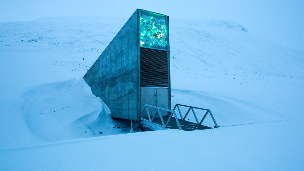 বাস্তুতন্ত্রের খাতিরে বিশ্বজুড়েই এখন বীজ বাঁচিয়ে রাখার উপরে বিশেষ গুরুত্ব দেওয়া হচ্ছে। নরওয়ের ‘ভালবার্ড গ্লোবাল সিড ভল্ট’ উল্লেখযোগ্য ভূমিকা নিয়েছে হিমায়িত বীজের কোষাগার হিসেবে।