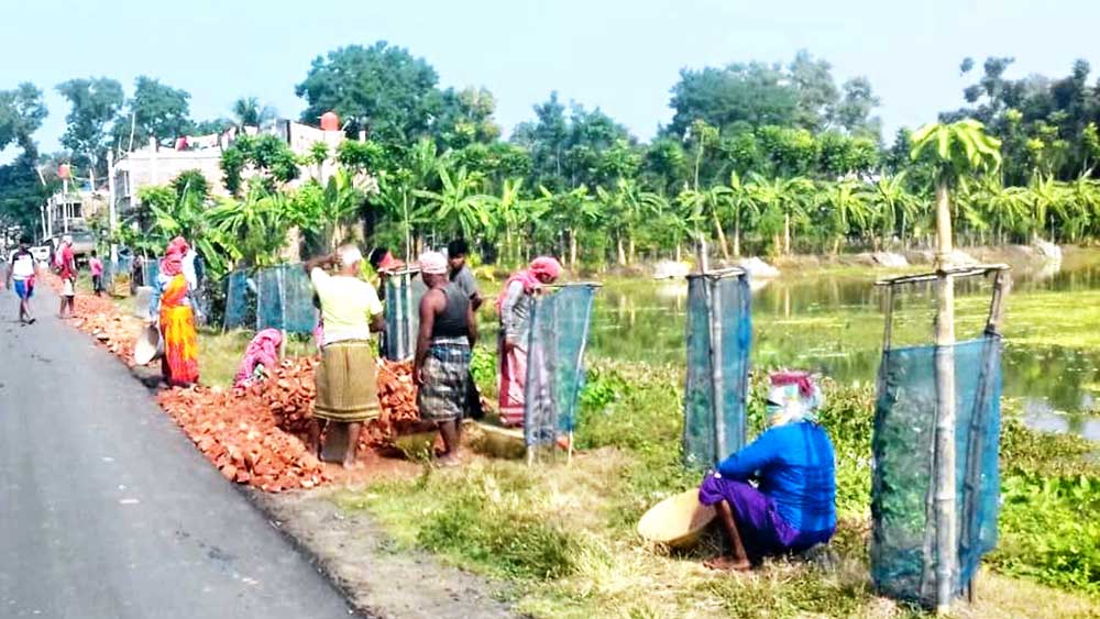 গাছ লাগানোর কাজ চলছে। ছবি: সজলকুমার চট্টোপাধ্যায় 