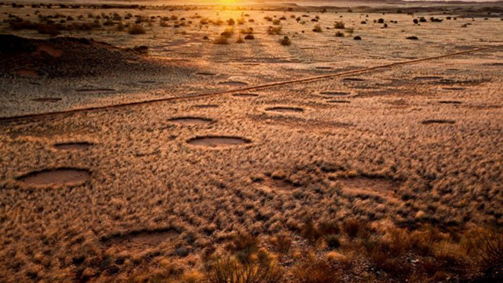 সে দেশে বিশাল মরুভূমি জুড়ে দেখা মিলবে বৃত্তাকার এমন অসংখ্য ভূমিরূপের। ওই বৃত্তগুলোর মধ্যে কোনও গাছপালা নেই। কিন্তু আশেপাশে রয়েছে প্রচুর গাছপালা। এই বৃত্তগুলোই ঈশ্বরের পায়ের ছাপ, বিশ্বাস করেন তাঁরা। তবে সেটা নেহাতই স্থানীয়দের বিশ্বাস। এমন ভূমিরূপের পিছনে আসল কারণটা কী জানেন?