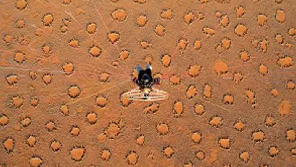 আফ্রিকার নামিবিয়ায় ১৬০ বর্গ কিলোমিটার এলাকা জুড়ে রয়েছে এই সব বৃত্ত। এই মরু এলাকায় মানুষের বাস প্রায় নেই। ১৯২০ সালে প্রথম এই সব বৃত্তাকার এলাকার খোঁজ মেলে। তার পর থেকেই এর রহস্য উদ্ঘাটনের গবেষণা চলে আসছে।