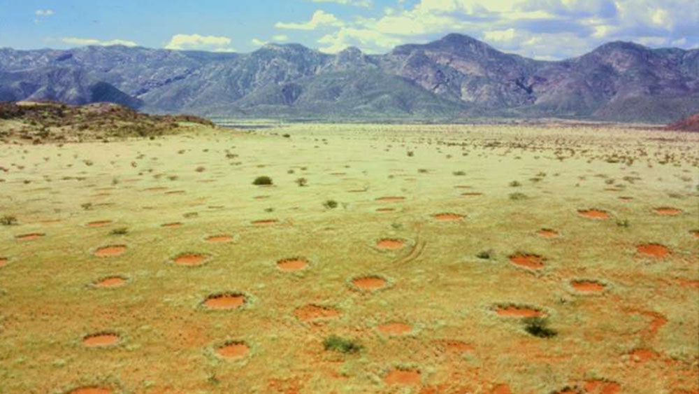 এই বৃত্ত তৈরির প্রক্রিয়া নিয়ে অনেক গল্প প্রচলিত রয়েছে স্থানীয়দের মধ্যে। অনেকে বিশ্বাস করেন, এগুলো নাকি ঈশ্বরের পায়ের ছাপ। কারও আবার দাবি, ‘ড্রাগনের বিষাক্ত নিঃশ্বাস’-এর ফলেই এমন বিস্ময় বৃত্তের সৃষ্টি হয়েছে। বিষাক্ত নিঃশ্বাসের জন্য ওই বৃত্তের মধ্যে আজও গাছ গজিয়ে উঠতে পারছে না।