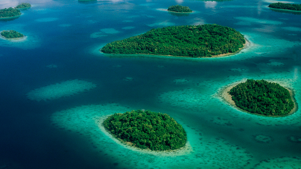 ‘রবিনসন ক্রুসো’ থেকে ‘সুইস ফ্যামিলি রবিনসন’। বিশ্বসাহিত্যের উপন্যাসে বারবার নিজেই চরিত্র হয়ে উঠেছে সুমদ্র। বাস্তবেও যে ঢেউয়ের সঙ্গে লড়াই করে মানুষ যে কয়েকবার মহাকাব্যিক রক্ষা পেয়েছে, তার বেশির ভাগ ঘটনারই সাক্ষী থেকেছে প্রশান্ত মহাসাগর।