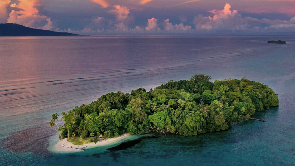 তেষ্টা মেটানোর জন্য বৃষ্টির জল ছাড়া হোসের ভরসা ছিল কাছিমের রক্ত আর নিজের মূত্র। প্রথমে তাঁর দাবি বিশ্বাস করা হয়নি। সন্দেহ করা হয়েছিল, তিনি সঙ্গীকে খুন করেছেন। ফলে করা হয়েছিল পলিগ্রাফ টেস্ট। খতিয়ে দেখা হয়েছিল প্রশান্ত মহাসাগরের নির্দিষ্ট অংশে নির্দিষ্ট সময়ের যান চলাচলের রেকর্ড। তারপর অভিযোগমুক্ত হন হোসে। বোঝা যায়, সত্যি কথাই বলছেন তিনি।