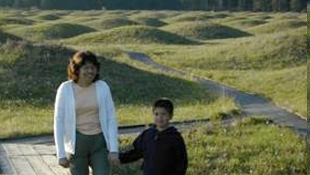 তার কোনওটা গোল, কোনওটা একটু চ্যাপ্টা, কোনওটা আবার ডিম্বাকার। তিন মিটার থেকে  ৫০ মিটার পর্যন্ত চওড়া এবং ৩০ সেন্টিমিটার থেকে দু’মিটার পর্যন্ত এগুলোর উচ্চতা হয়ে থাকে।