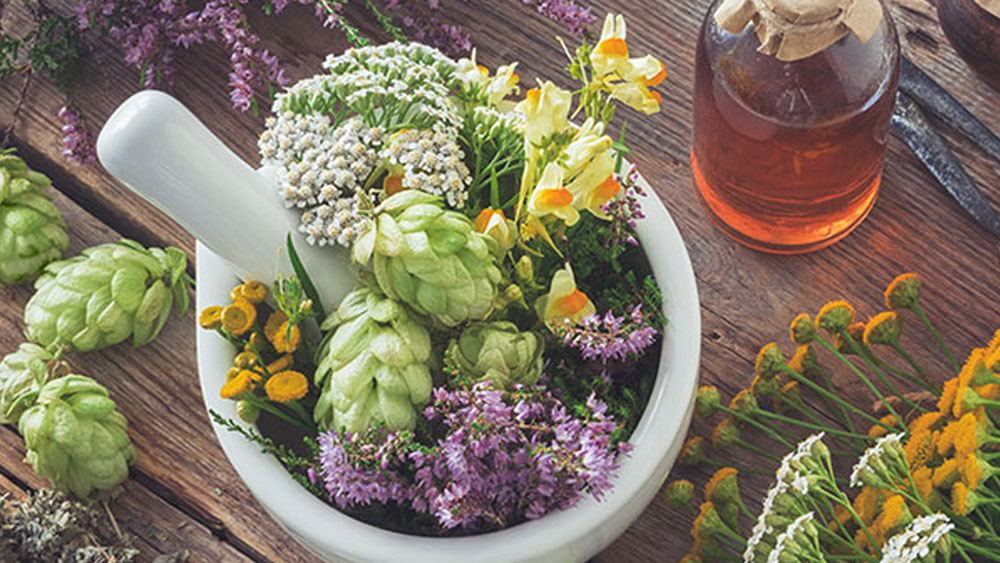 মৃত্যুর পর শরীরে ব্যাকটিরিয়ার বৃদ্ধি আটকাতে জীবিতাবস্থায় বিভিন্ন ভেষজ উদ্ভিদ খেতেন তাঁরা। আর খেতেন বিশেষ এক ধরনের চা। যা বিষাক্ত হার্ব দিয়ে বানানো হত। এই চা পান করার ফলে তাঁদের শরীরও বিষাক্ত হয়ে উঠত এবং মৃত শরীরে ম্যাগট তৈরি হতে পারত না।