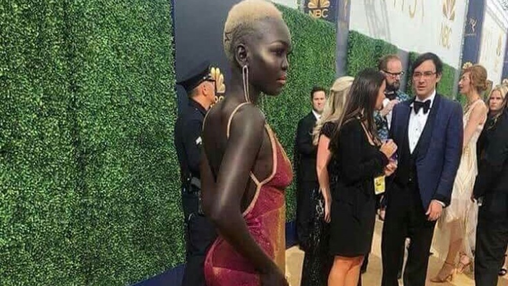 একদিন আমেরিকায় পৌঁছনো গেল। সেইসঙ্গে চুরমার হয়ে গেল যাবতীয় আশা-ভরসা। ভালভাবে থাকা তো দূর অস্ত্। সেখানে সমাজ তো গ্রহণ করতেই নারাজ বালিকাকে। কারণ, সে যে ঘোর কৃষ্ণাঙ্গী।