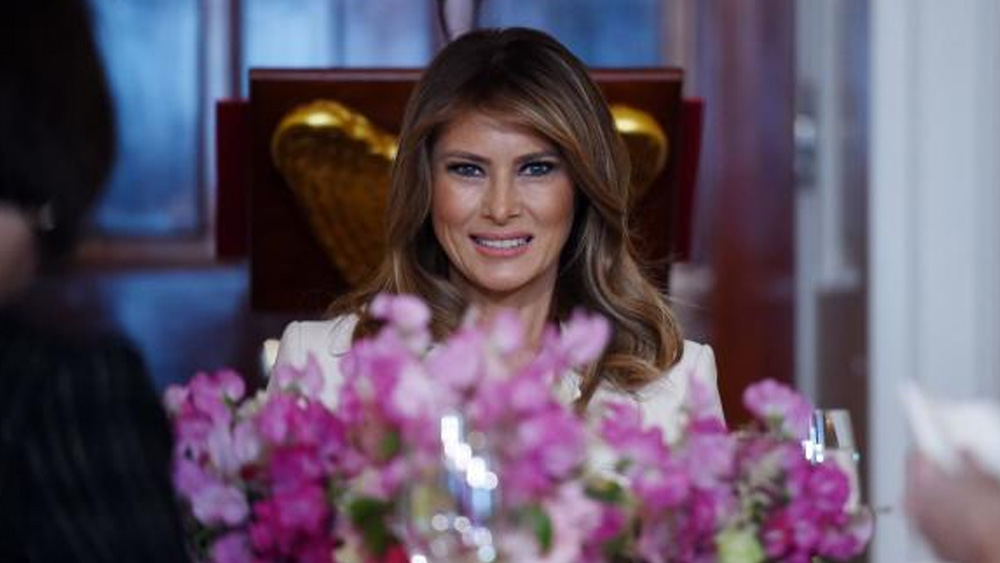 সেভনিকা এবং লুবলিজানা শহরে কেটেছে মেলানিয়ার শৈশব ও কৈশোর। লুবলিজানা বিশ্ববিদ্যালয়ে আর্কিটেকচার ও ডিজাইন নিয়ে পড়াশোনা করেন মেলানিয়া। কিন্তু কোর্স সম্পূর্ণ হওয়ার আগেই তিনি ছেড়ে দেন।