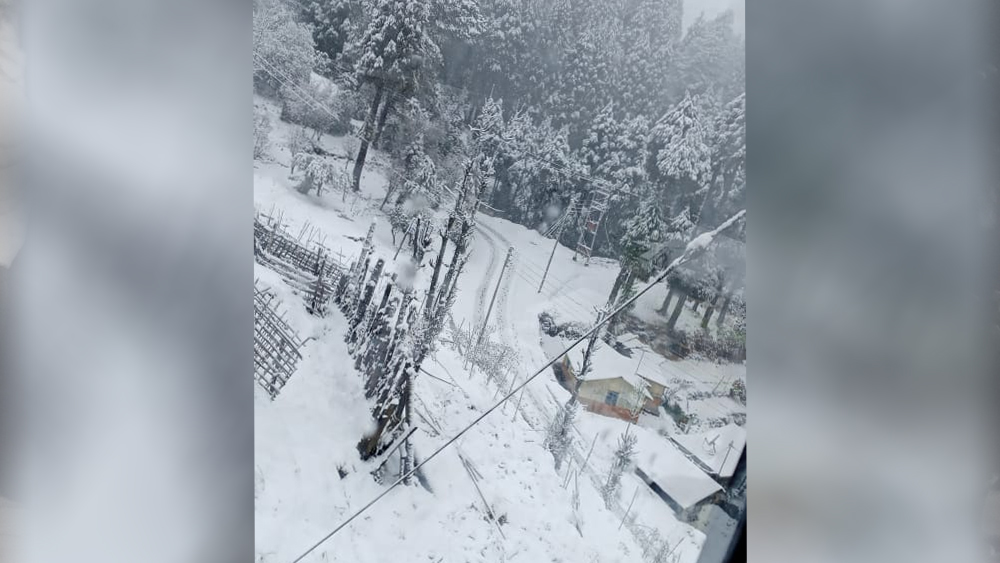 ইদানীং পর্যটন মানচিত্রে বেশ জনপ্রিয় হয়েছে দার্জিলিঙের প্রত্যন্ত কিছু গ্রাম। অনেকেই পাহাড়ে গিয়ে ভিড় এড়াতে চাইছেন। তাই দার্জিলিং, কার্শিয়াং, কালিম্পং ছেড়ে খুঁজে নিচ্ছেন অফবিট জায়গা।  (ছবি: বিনয় তামাঙের সৌজন্যে)