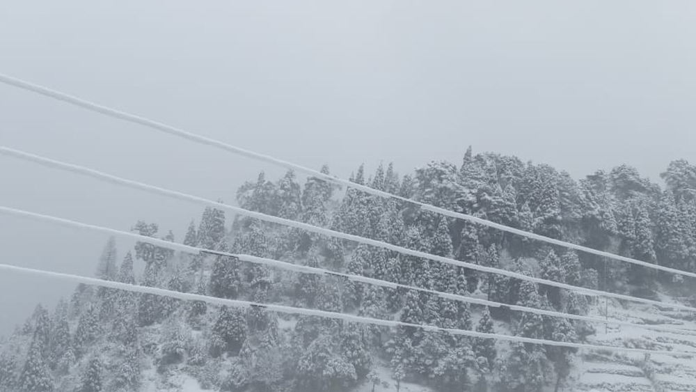 অষ্টাদশ শতকে এই গ্রামের নাম ছিল টংলো। গ্রামের কথা প্রথম জানা যায় স্যর জোসেফ ডাল্টন হুকারের লেখায়। এই ব্রিটিশ বটানিস্ট ও আবিষ্কারক গাছপালার খোঁজে ঘুরে বেড়াতেন হিমালয়ের কোণায় কোণায়। (ছবি: বিনয় তামাঙের সৌজন্যে)