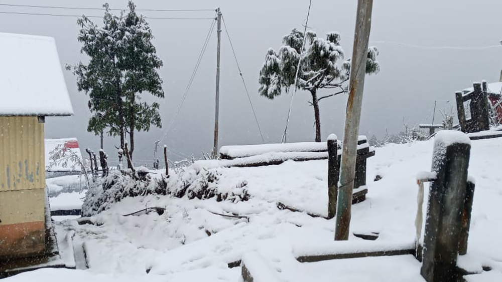 সান্দাকফু ট্রেক করতে যাওয়ার পথে অভিযাত্রীরা আগে টংলু গ্রামে হল্ট করতেন। এক রাত কাটিয়ে আবার নতুন করে যাত্রা শুরু করতেন। এখন সাধারণ পর্যটকরাও এখানে যান পাহাড়ের সৌন্দর্য উপভোগ করতে।  (ছবি: বিনয় তামাঙের সৌজন্যে)