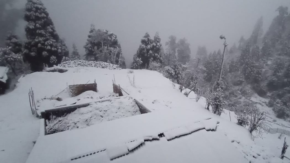 টংলুর মতো ধোতরেও সিঙ্গালিলা জাতীয় উদ্যানের অংশ। এখানেও থাকার জায়গা বলতে ভরসা হোম স্টে। দার্জিলিং থেকে ১১ কিমি দূরে ধোতরের মূল আকর্ষণ কাঞ্চনজঙ্ঘার অপূর্ব রূপ। আবহাওয়া অনুকূল হলে এখান থেকে পর্যটকদের কাছে ধরা দেয় বিশ্বের তৃতীয় উচ্চতম শৃঙ্গের স্বর্গীয় রূপ।  (ছবি: সোমনাথ মণ্ডল)