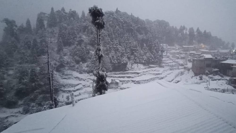 আগে ধোতরে থেকে রোপওয়ের মাধ্যমে কাঠ পরিবহণ করত বন দফতর। এখন অবশ্য সে বন্দোবস্ত বহুদিন বন্ধ। হিমালয়ের কোলে ধোতরের অন্যতম আকর্ষণ পাখির ডাক।  (ছবি: সোমনাথ মণ্ডল)