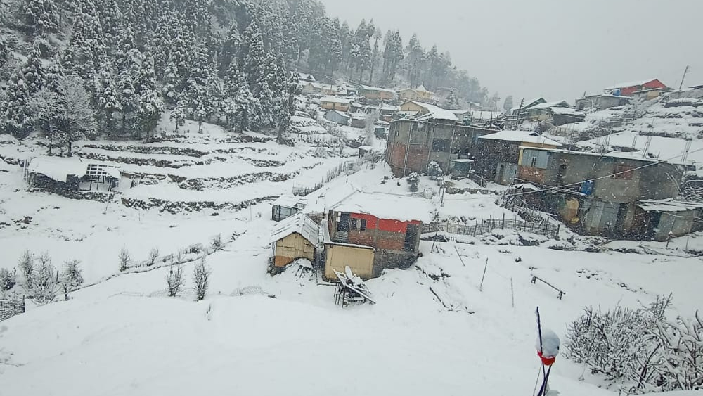 রডোডেনড্রন, ম্যাগনোলিয়া আর অর্কিড দেখতে ধোতরে গ্রামে পর্যটকরা ভিড় করেন মার্চ-এপ্রিল নাগাদ। আপাতত বরফের চাদরে ঢাকা ধোতরে দিন গুনছে সেই মুহূর্তেরই। তার প্রশ্ন, শীত এলে বসন্ত কি আর খুব বেশি দূরে থাকতে পারে?  (ছবি: সোমনাথ মণ্ডল)