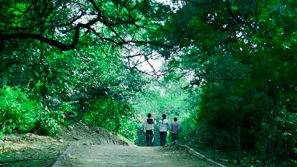 ব্যক্তিগত মহলে তাঁর আরও একটা পরিচয় রয়েছে। ‘ফিটনেস ফ্রিক’ হিসাবে পরিচিত তিনি। প্রতিদিনই নিয়ম করে লোধি গার্ডেনে মর্নিং ওয়াক এবং জগিং করেন। আর তাঁর রবিবার বরাদ্দ দিল্লির সেন্ট্রাল রিজ এলাকায় সাইক্লিংয়ের জন্য।
