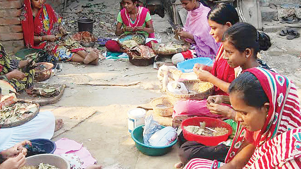 জঙ্গিপুরে চলছে কাজ। নিজস্ব চিত্র